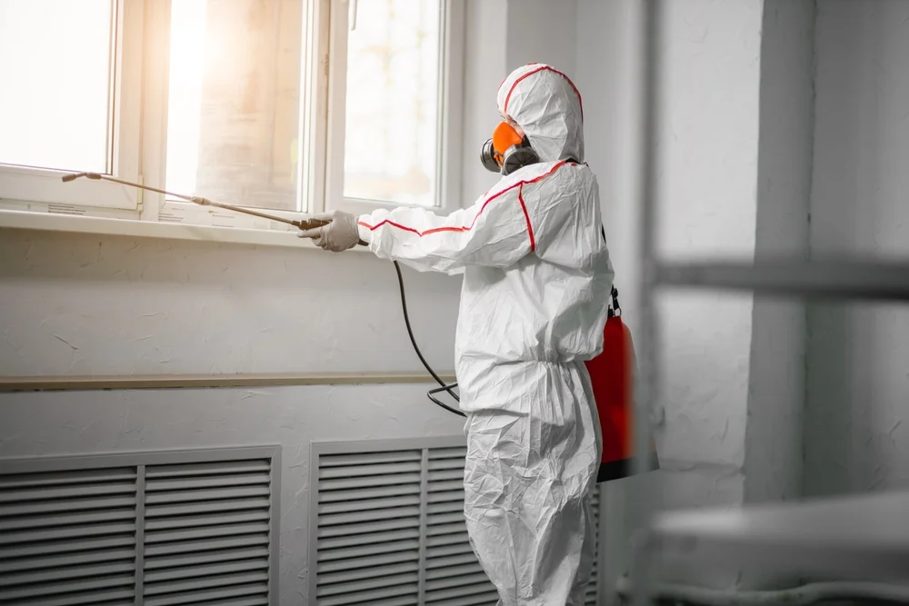 Professional mold remediation services in Hearne, TX